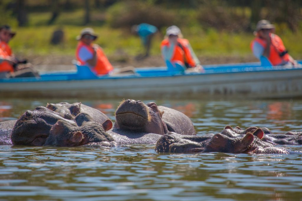 Naivasha Day Trip